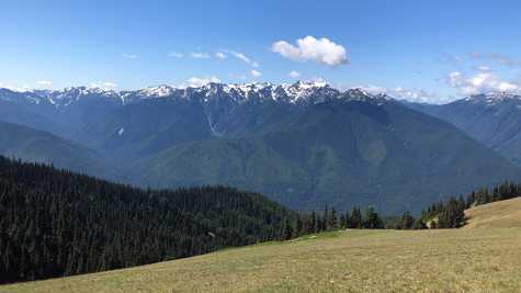 Hurricane ridge at Olympic National park
