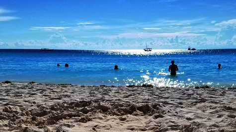 Seven Zanzibar Pro Tips