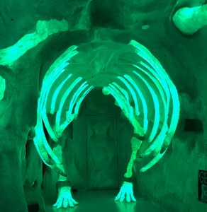 Meow Wolf Musical bones