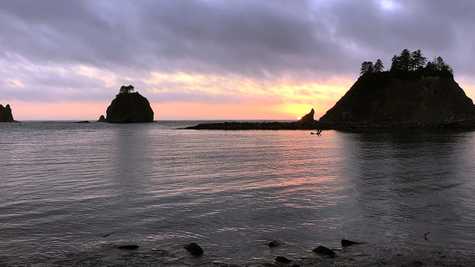 La Push Beach Washington