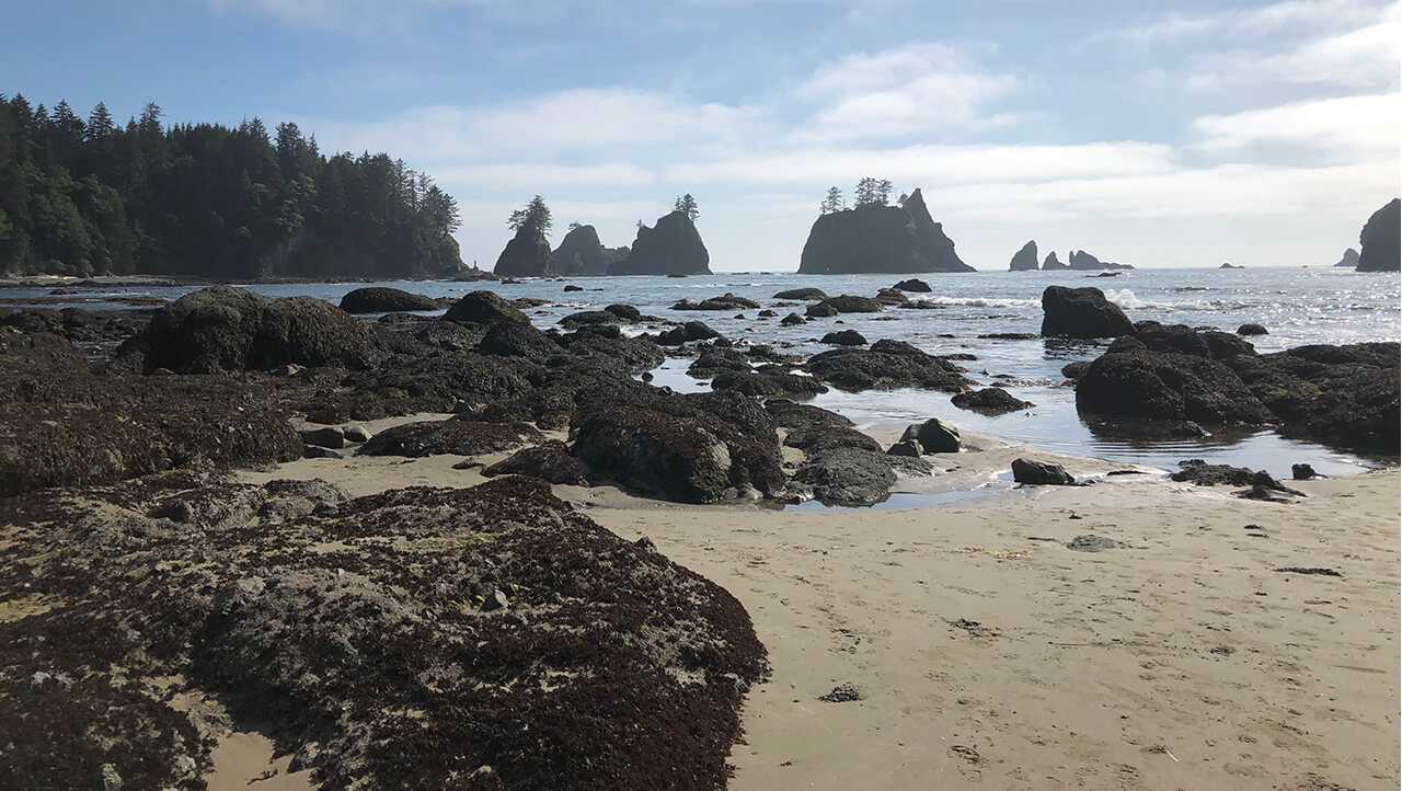 Shi Shi Beach