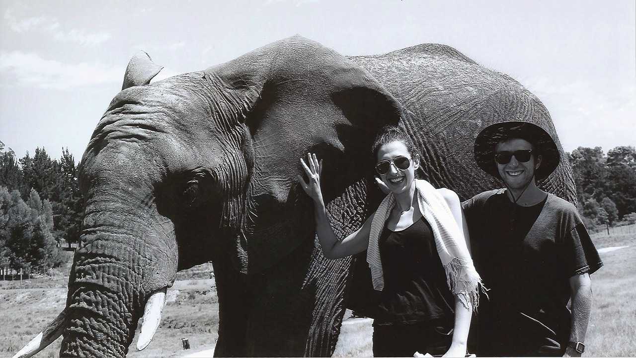 Knysna Elephant Park