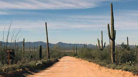 Driving down Saguaro National park