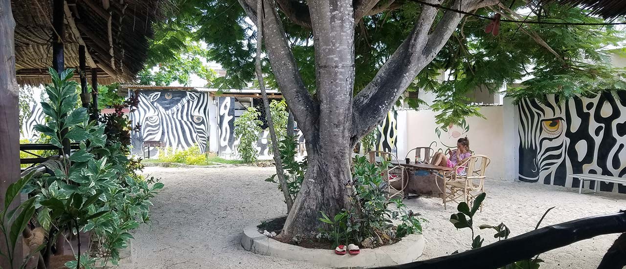 Nungwi Zanzibar dala-dala ride