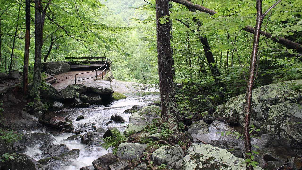 Climbing Crabtree Falls