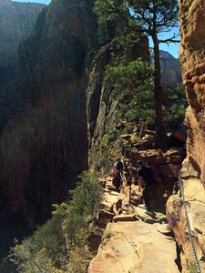 Angels Landing Path