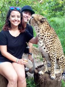 Tyson the cheetah at Cheetahs Rock Zanzibar